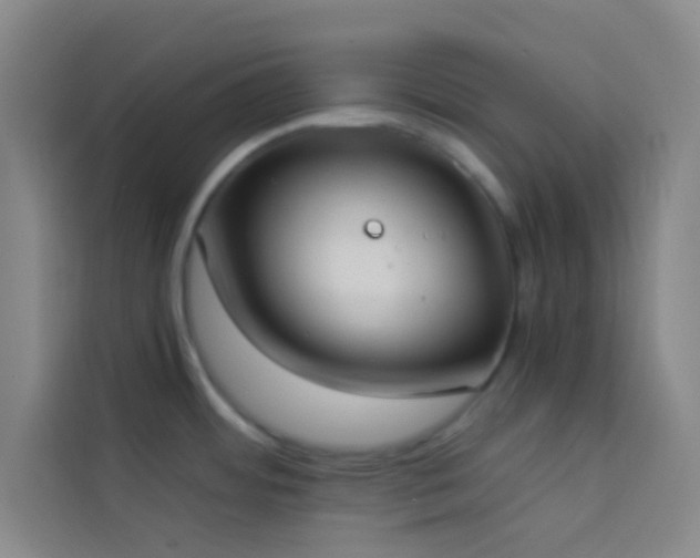 X0000114021484200910021407