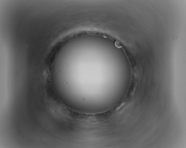 X0000114021495200910021407