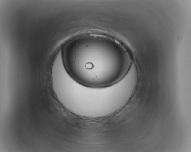 X0000114021496200910021407