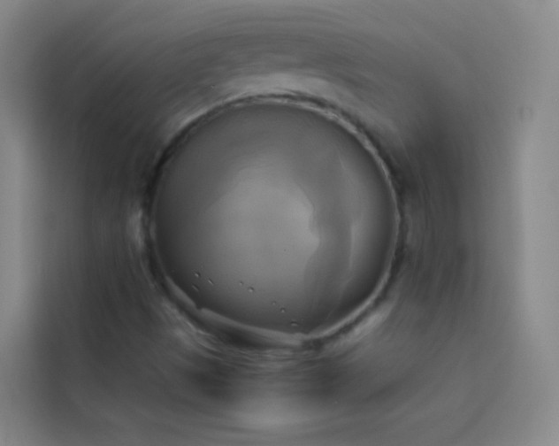 X0000114021497200910021407