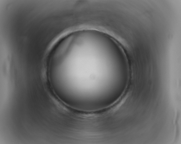 X0000114021502200910021407