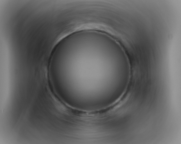 X0000114021505200910021407