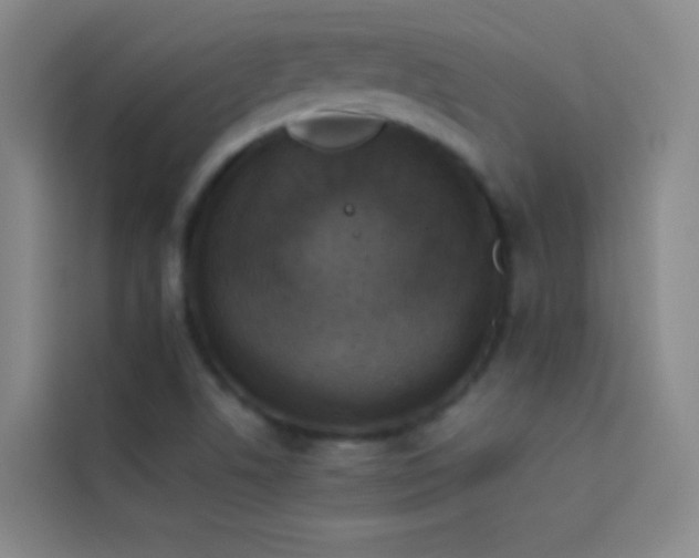 X0000114021506200910021407