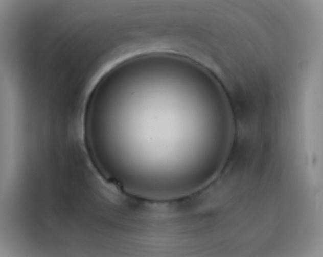 X0000114021512200910021407
