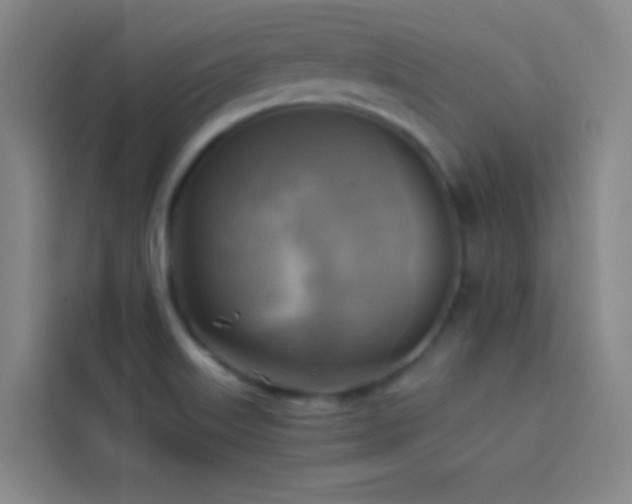 X0000114021515200910021407