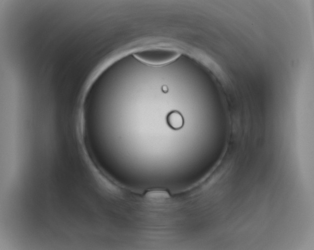 X0000114021520200910021407