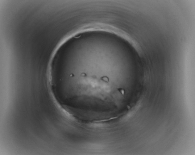 X0000114021522200910021407