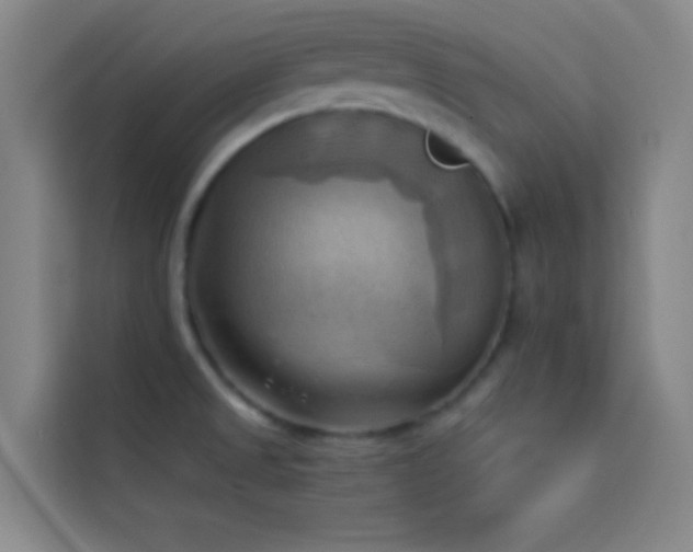 X0000114021525200910021407