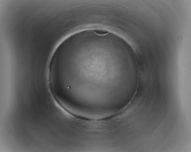 X0000114021527200910021407