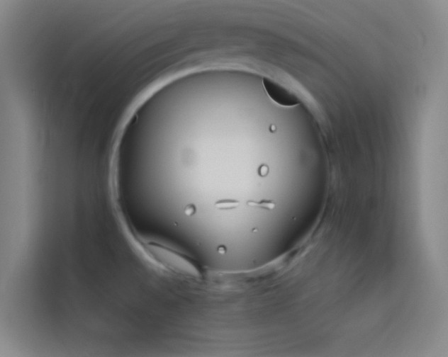 X0000114021528200910021407