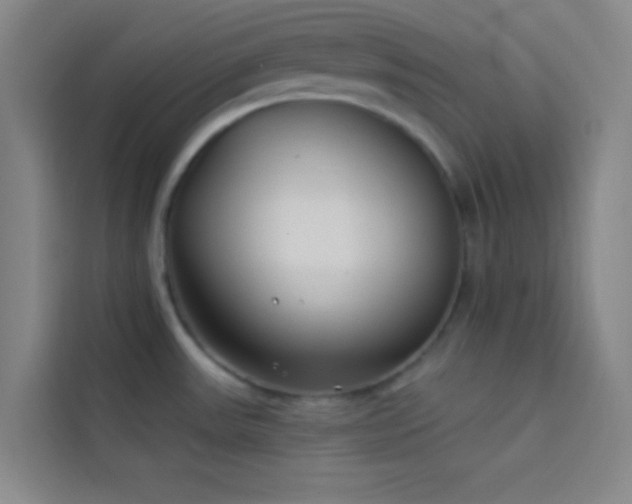 X0000114021531200910021407