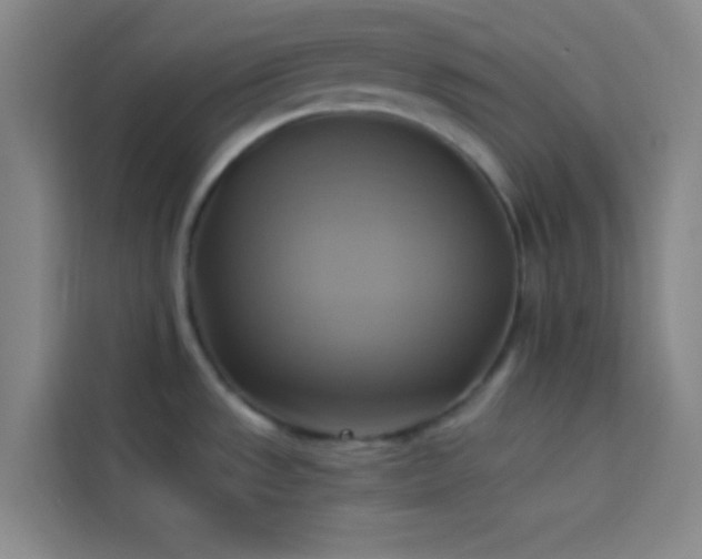 X0000114021533200910021407