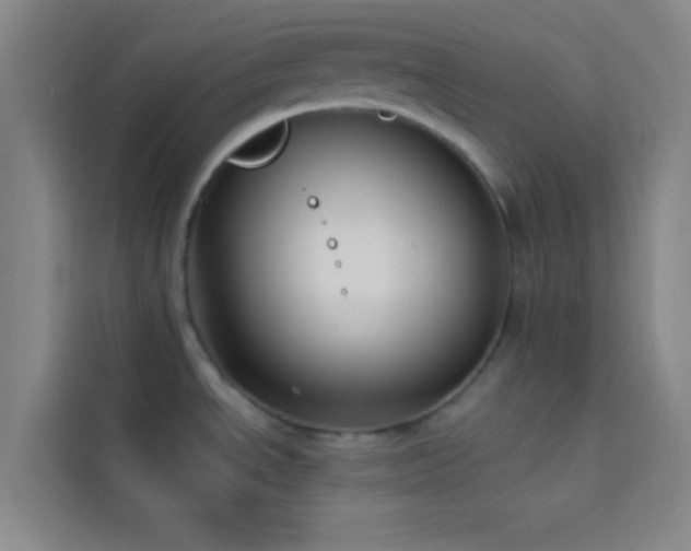 X0000114021534200910021407