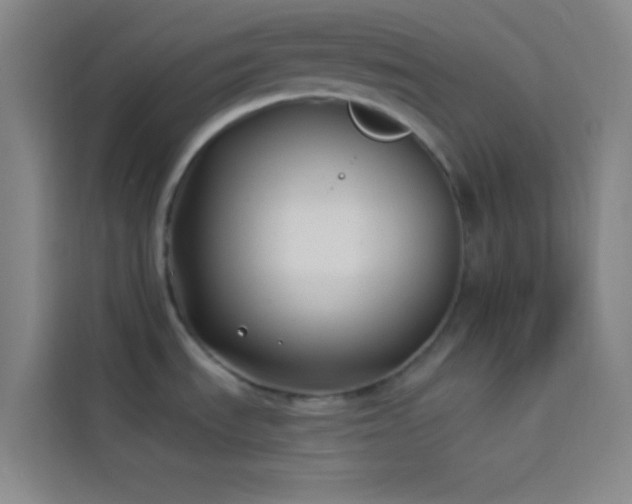 X0000114021535200910021407