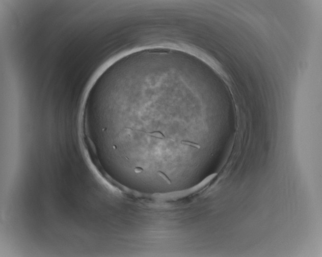 X0000114021536200910021407