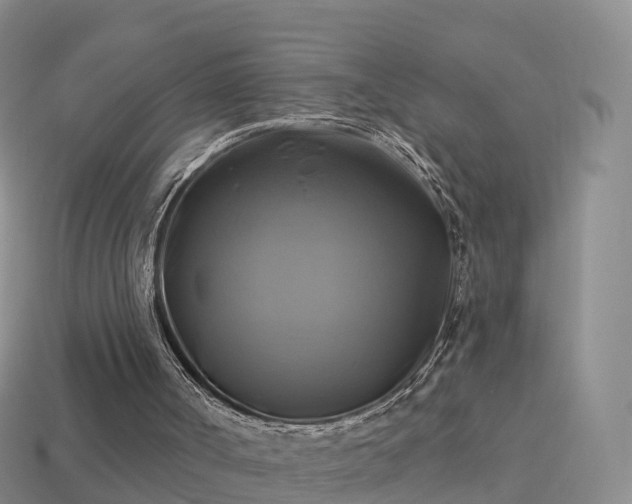 X0000114020002200910091423