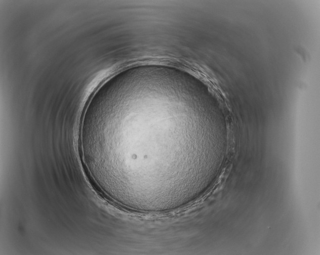 X0000114020003200910091423