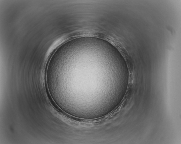 X0000114020004200910091423