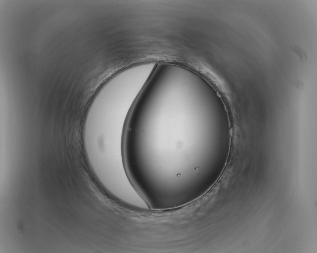 X0000114020009200910091423