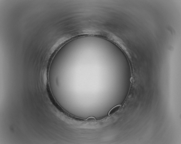 X0000114020011200910091423