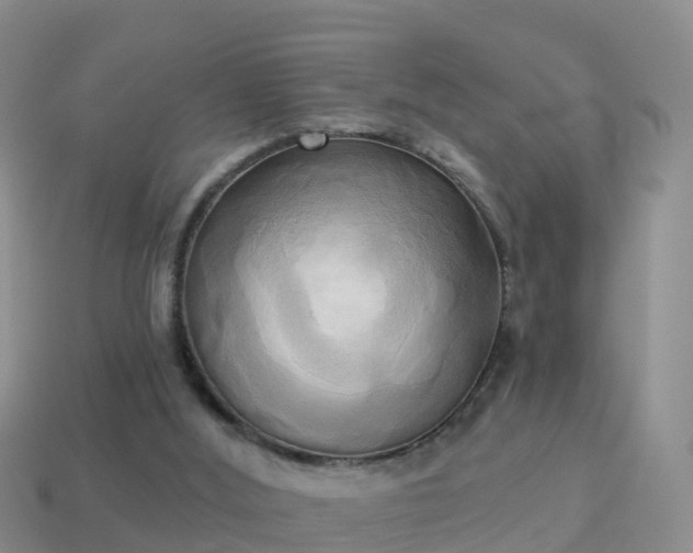 X0000114020012200910091423