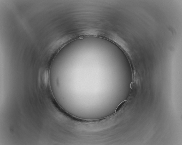 X0000114020013200910091423