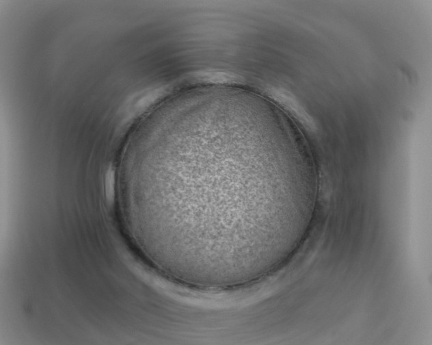 X0000114020014200910091423