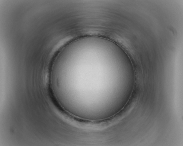 X0000114020016200910091423