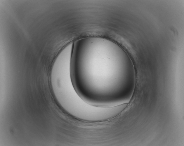 X0000114020017200910091423