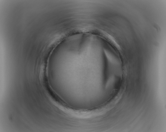 X0000114020018200910091423