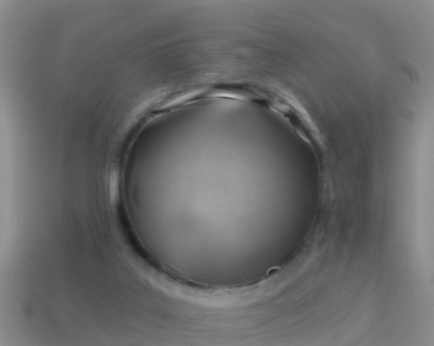 X0000114020019200910091423