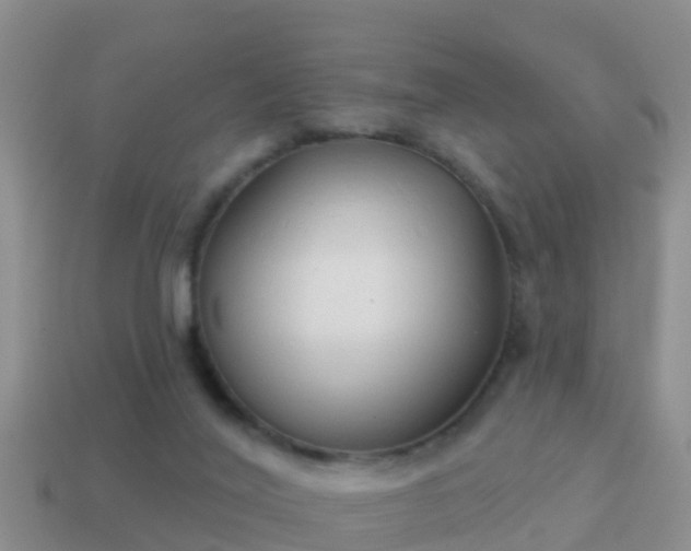 X0000114020020200910091423