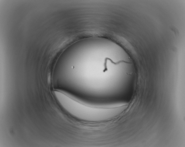 X0000114020021200910091423