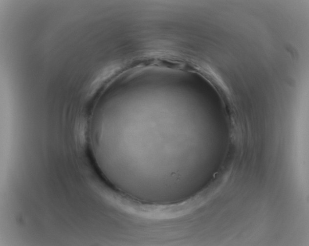 X0000114020023200910091423