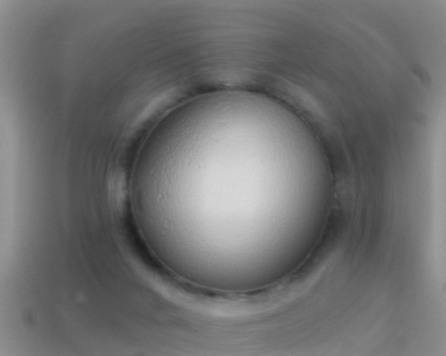 X0000114020024200910091423