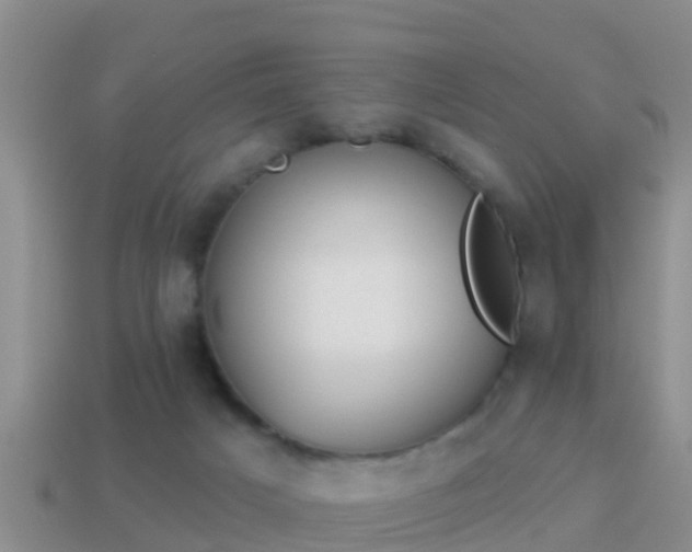 X0000114020025200910091423