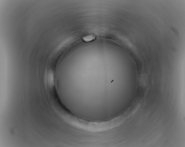 X0000114020027200910091423