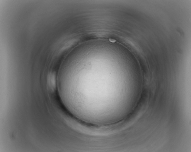 X0000114020028200910091423