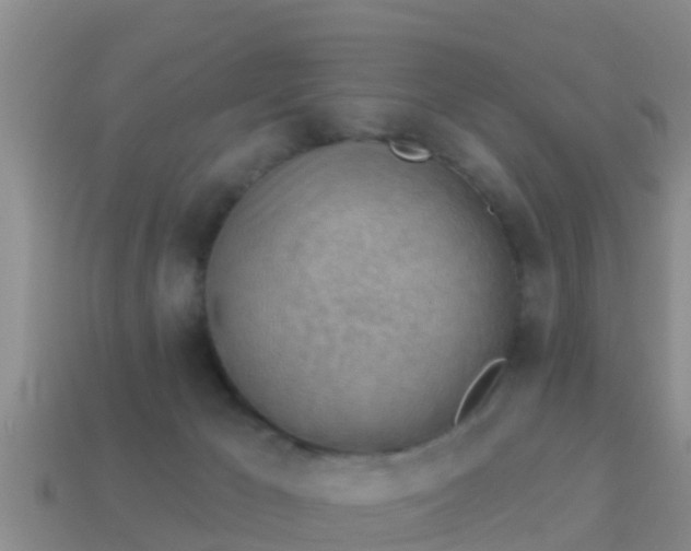 X0000114020029200910091423