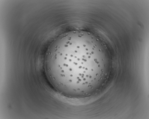 X0000114020030200910091423