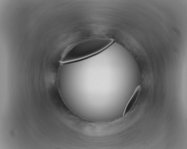 X0000114020033200910091423