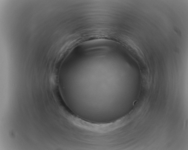 X0000114020035200910091423