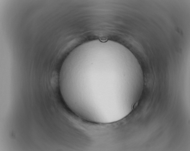 X0000114020036200910091423