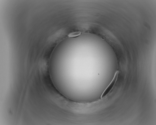 X0000114020037200910091423