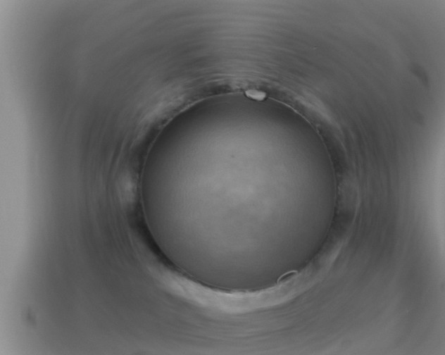 X0000114020039200910091423