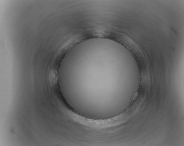 X0000114020043200910091423