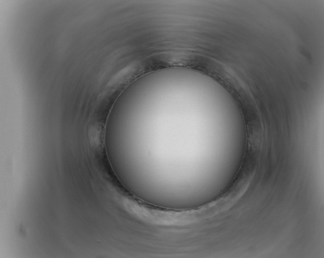 X0000114020044200910091423