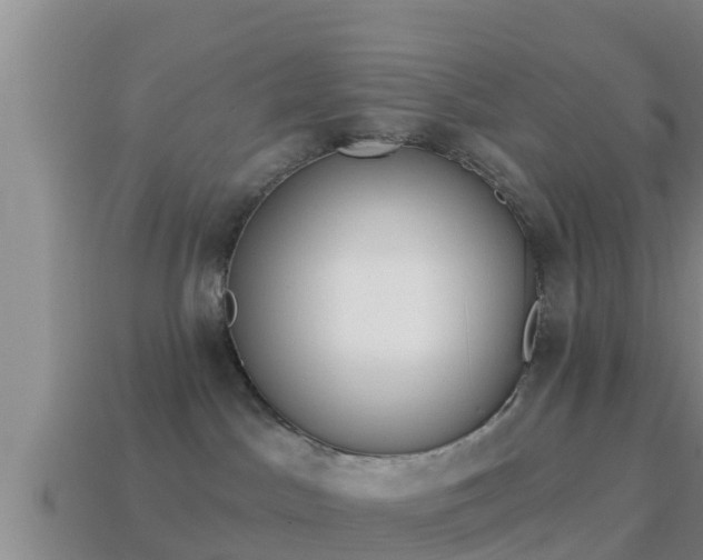 X0000114020045200910091423