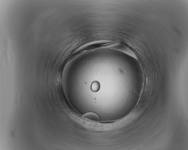 X0000114020048200910091423