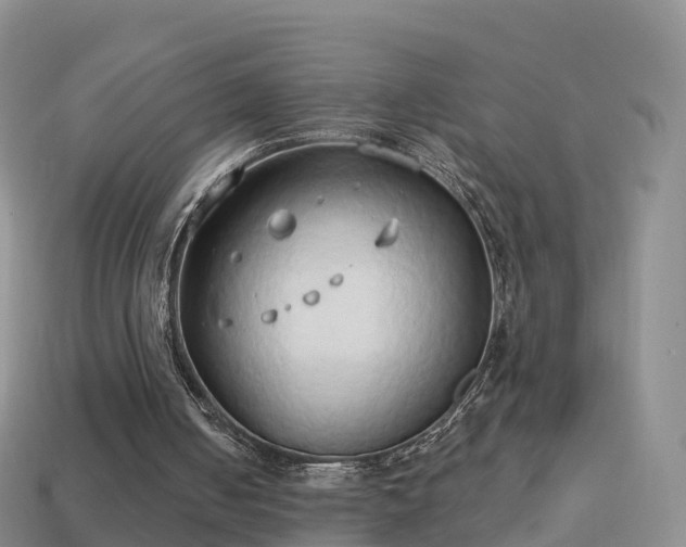 X0000114020050200910091422